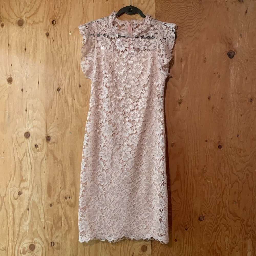 Enfocus Studio Blush Pink Lace Dress 10 - Picture 1 of 10